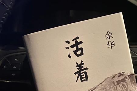 体面活着的意思