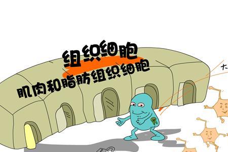 盲流是怎么形成的