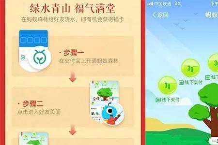 女生邀请我种家庭树是什么意思