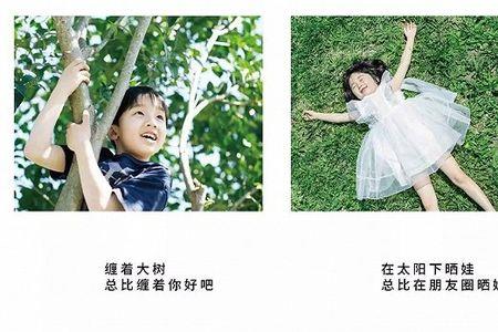 关于树的文案