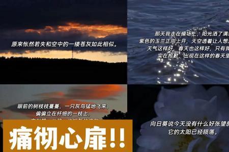 悲痛欲绝的绝字是什么意思