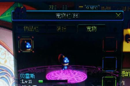 地下城宠物蛋如何出售