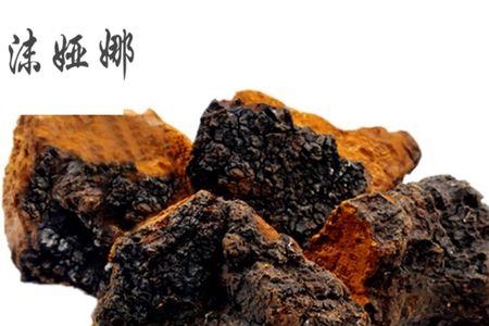 俄罗斯共青城有桦树茸吗