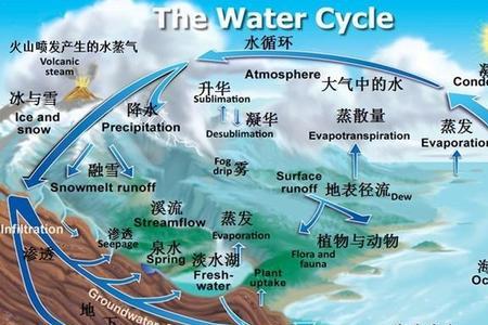 自来水来自雨水吗