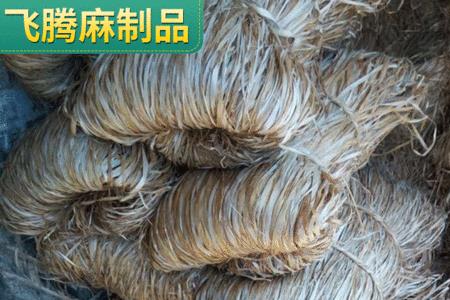 油麻是什么