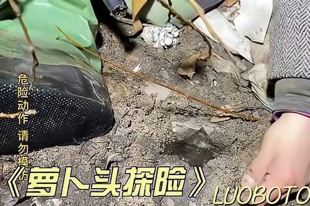 动物世界里解说员叫什么名字
