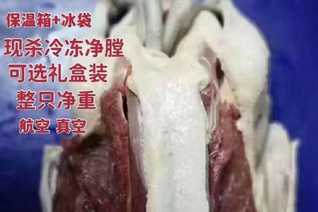 非洲雁肉是凉性的吗
