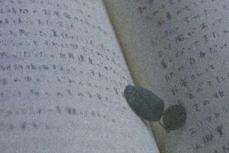 一秒钟心疼文案
