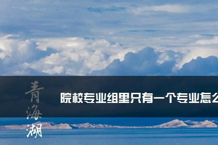 专业组6个专业可以只填一个吗