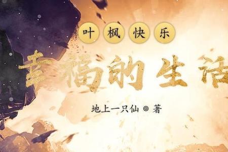 主角名字叫叶枫的小说