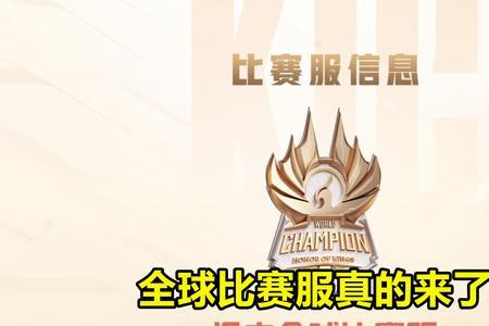 王者世冠比赛服是国际服吗