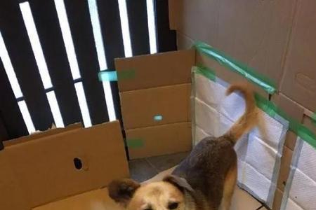 34岁还拉裤兜子怎么办