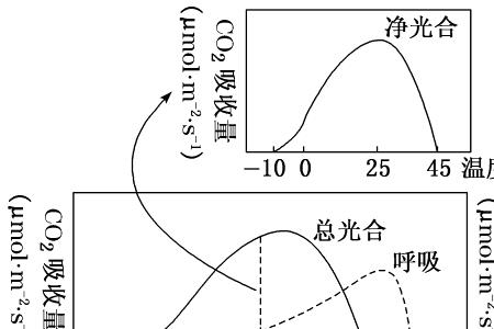 光合特性
