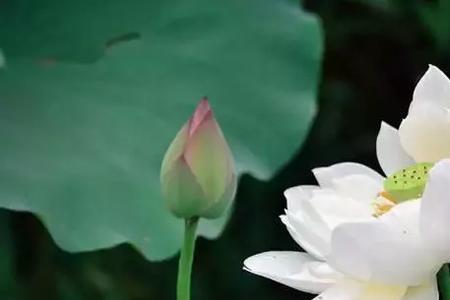 天理昭彰终有轮回什么意思