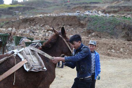古代赶马的人叫什么