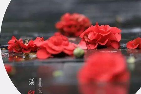 花开花落本无意下句