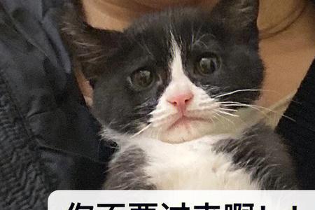 你不要过来呀是哪个电影