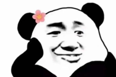表情包为什么发不出去