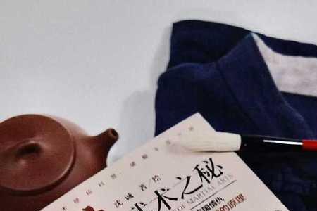 主角会武功的现代小说