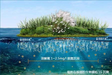 浮岛是什么意思啊
