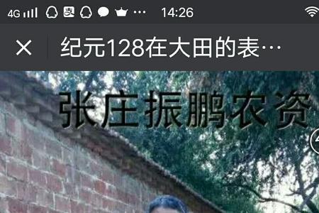纪元888玉米品种介绍及图片