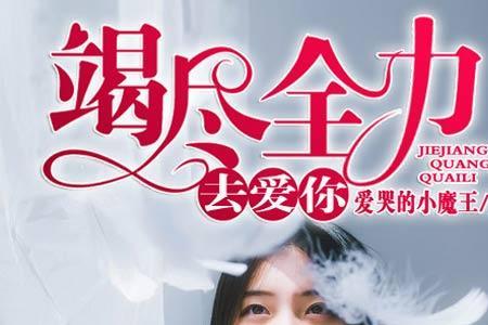 倾尽所有去爱你句子