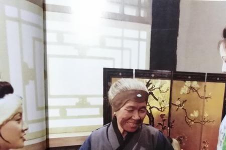 刘姥姥一进荣国府主要内容20字