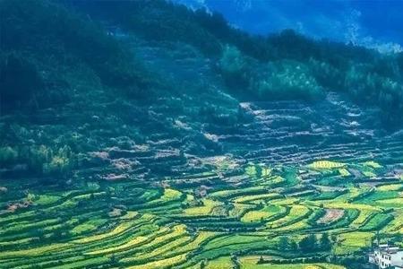 婺源是谁发展起来的