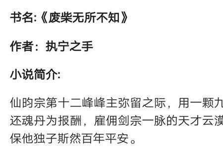 叶安久司胤洐小说的书名名字