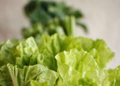 白菜水煮肉片的家常做法图片