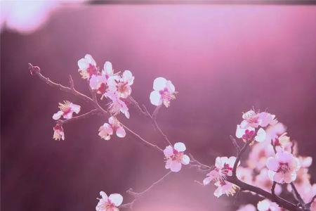 陪你走过一年四季原唱