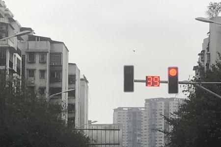 新国标红绿灯有哪些国家在用