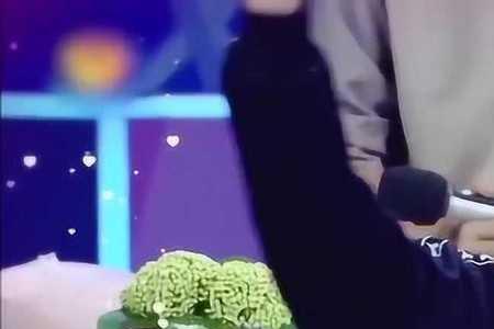 王鹤棣何炅对不起哪一期