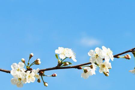 春暖花开情侣七律诗