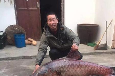 书法寿百康是什么意思
