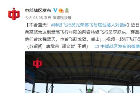 飞行员停飞意味什么