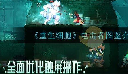 重生细胞女王怎么通关