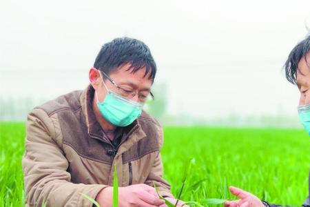 随官屯镇打虎李庄现在人口
