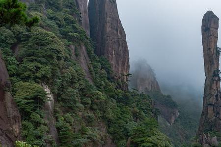 谁知道庐山和三清山，哪个更好玩