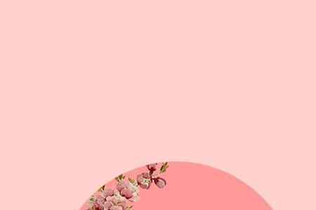 名字叫小鸟的藏头诗