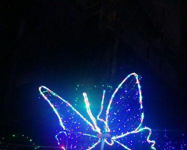 用热情好客五光十色写一句话