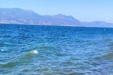 情海无情波涛汹,风流淹没红尘中