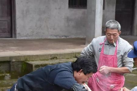自己和朋友合伙买猪宰杀，犯法吗