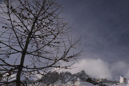 祈雪应景什么意思