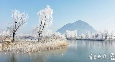 齐鲁是什么意思