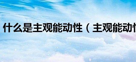 什么是主观危险性