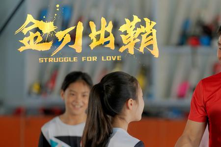 军刀出鞘小说怎么样