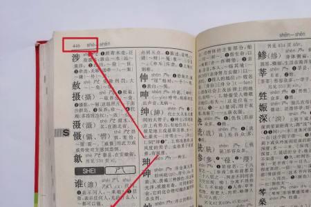 申的近义词是什么