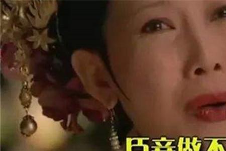 臣妾做不到出自哪首歌