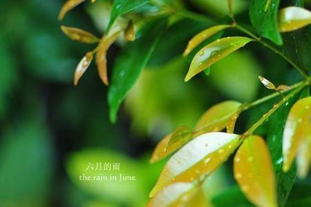 一场夏天的雨一般持续多久
